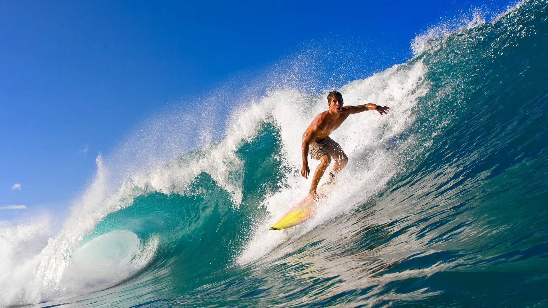 体育新闻中心独家人物专访,体育新闻的主持人是谁